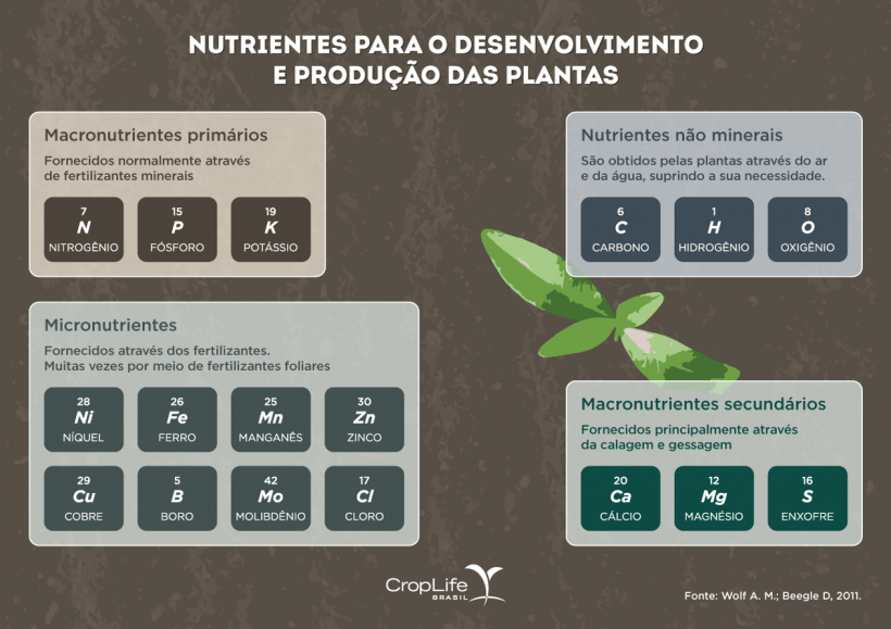 Guia completo de Micronutrientes para cultivo orgânico