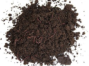 Guia completo de alimentação para minhocas