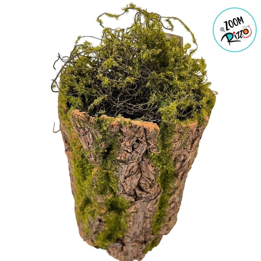 1. Musgo em Árvores: Um Guia Completo para Identificação e Cuidados
2. Os Benefícios Surpreendentes do Musgo para o Meio Ambiente
3. Como Remover Musgo de Árvores de Forma Segura e Eficaz
4. Musgo vs. Líquen: Entenda as Diferenças e Impactos nas Plantas
5. Árvores com Musgo: Sinais de Alerta e Prevenção de Doenças