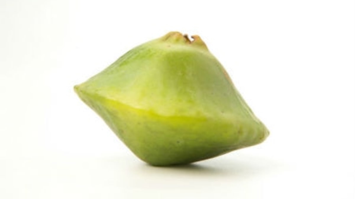 melhores receitas com cambuci da cantareira