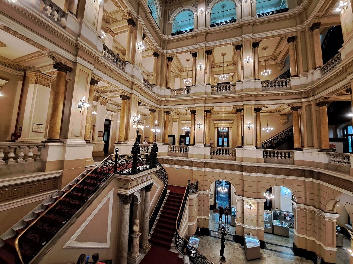 o cedro da biblioteca nacional