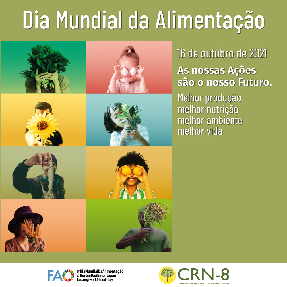 Como a Hidroponia Está Revolucionando a Agricultura Urbana