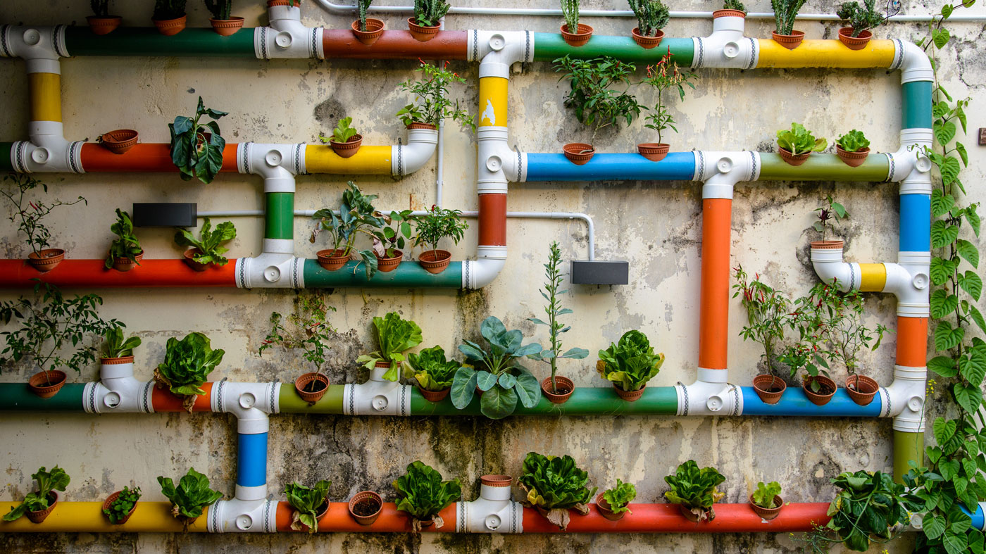 O Impacto da Carne Cultivada na Sustentabilidade