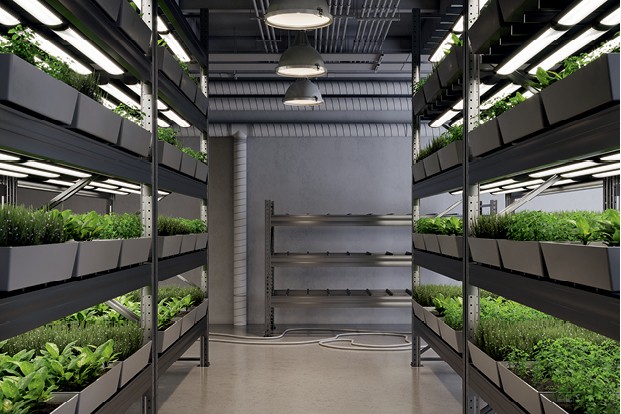 O Impacto da Carne Cultivada na Sustentabilidade