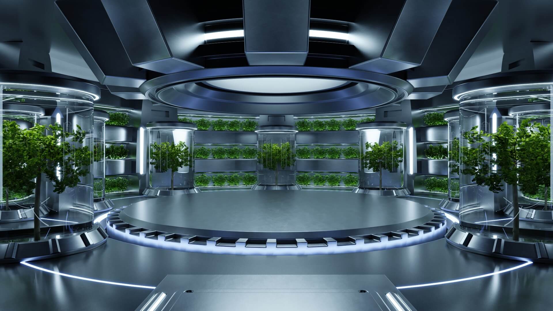 Como a Hidroponia Está Revolucionando a Agricultura Urbana