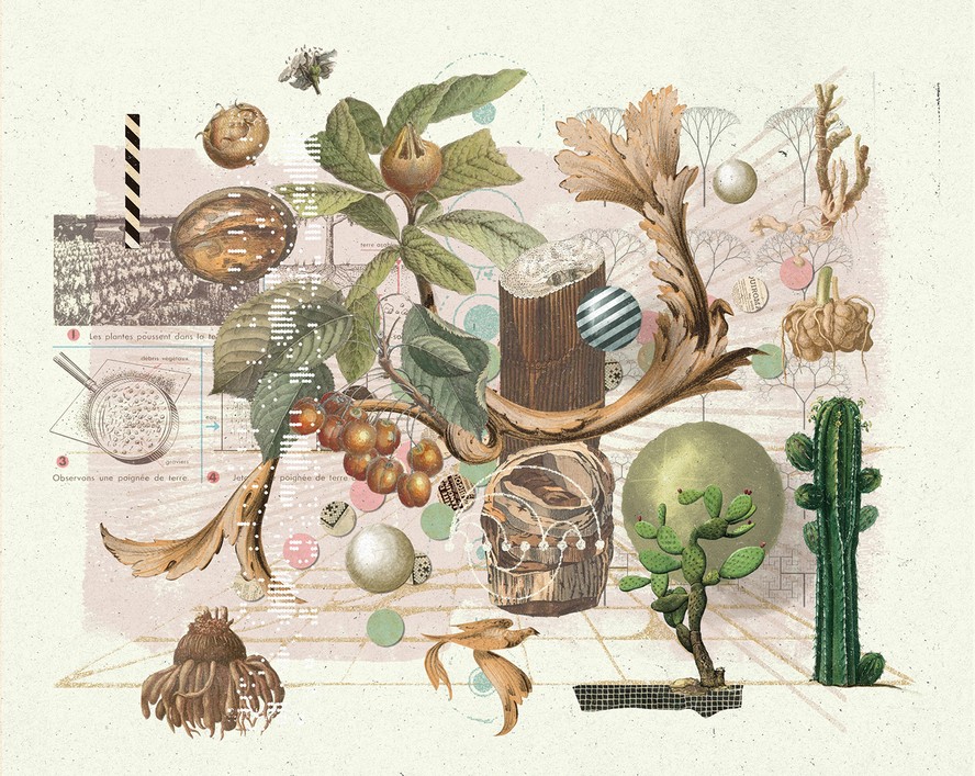 Guia Completo de Alimentos Plant-Based para 2025