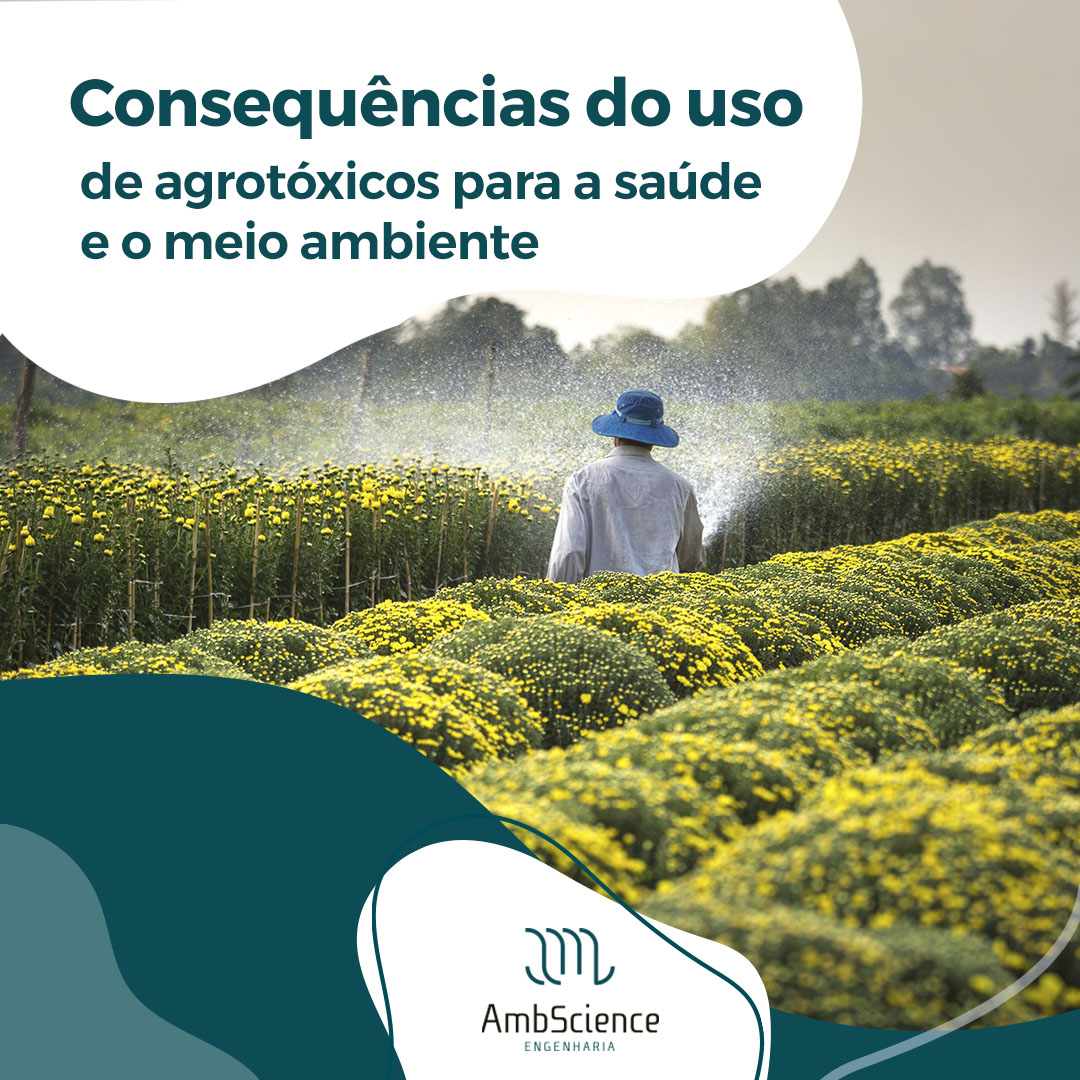 O impacto dos agrotóxicos na biodiversidade