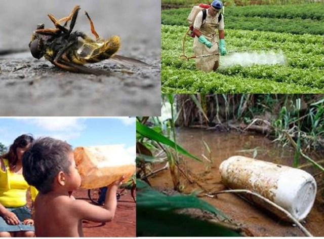Legislação brasileira sobre agrotóxicos: o que mudou?