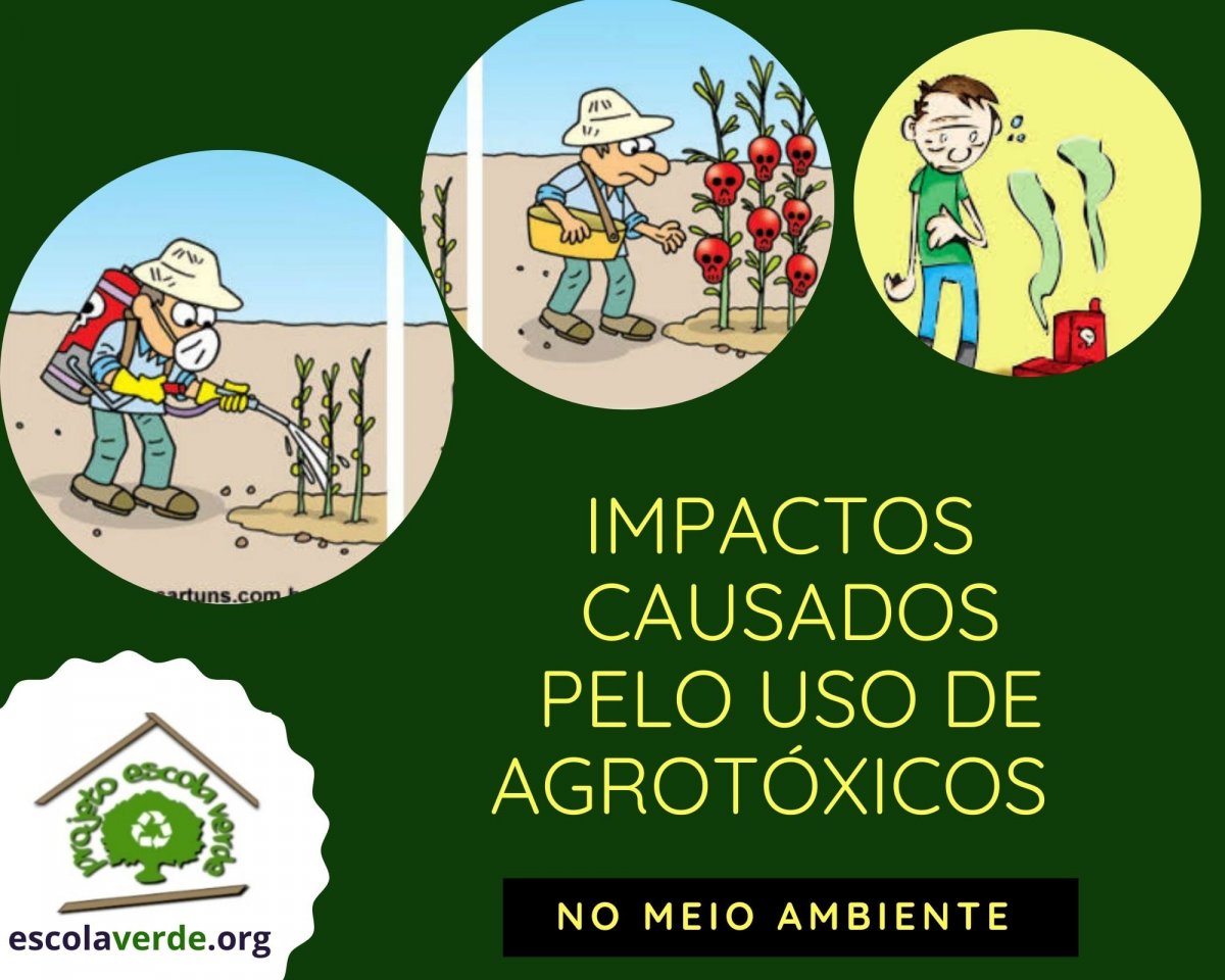 Glifosato: riscos e alternativas