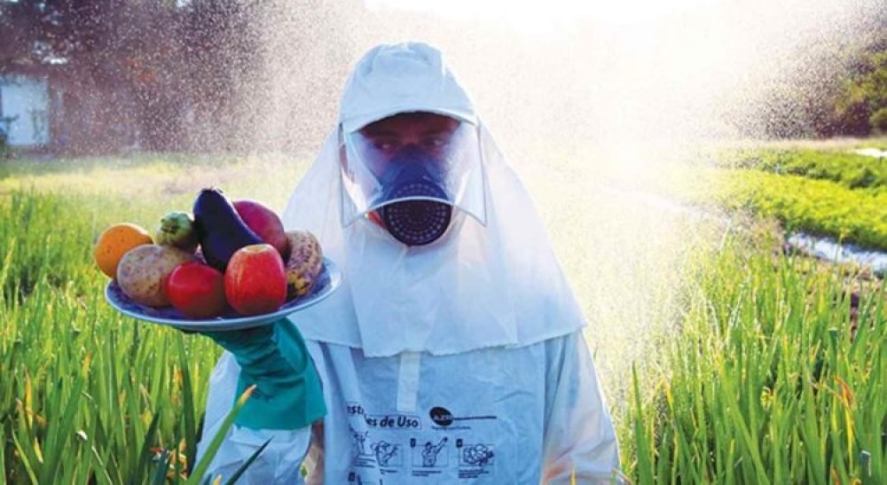 Agrotóxicos e saúde infantil: o que os pais precisam saber