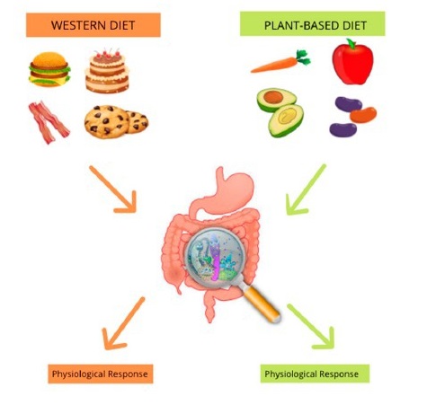 Guia Completo de Alimentos Fermentados para a Saúde Intestinal