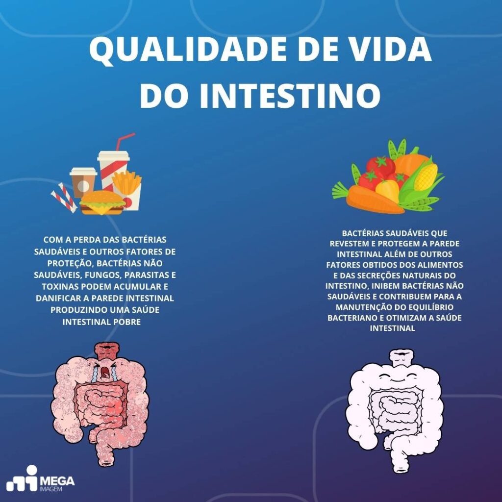 Os Perigos dos Ultraprocessados para o Microbioma