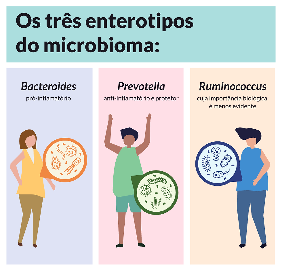 Guia Completo de Alimentos Fermentados para a Saúde Intestinal
