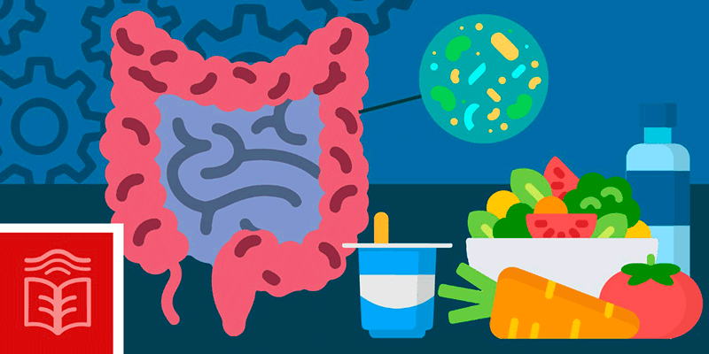 Os Perigos dos Ultraprocessados para o Microbioma