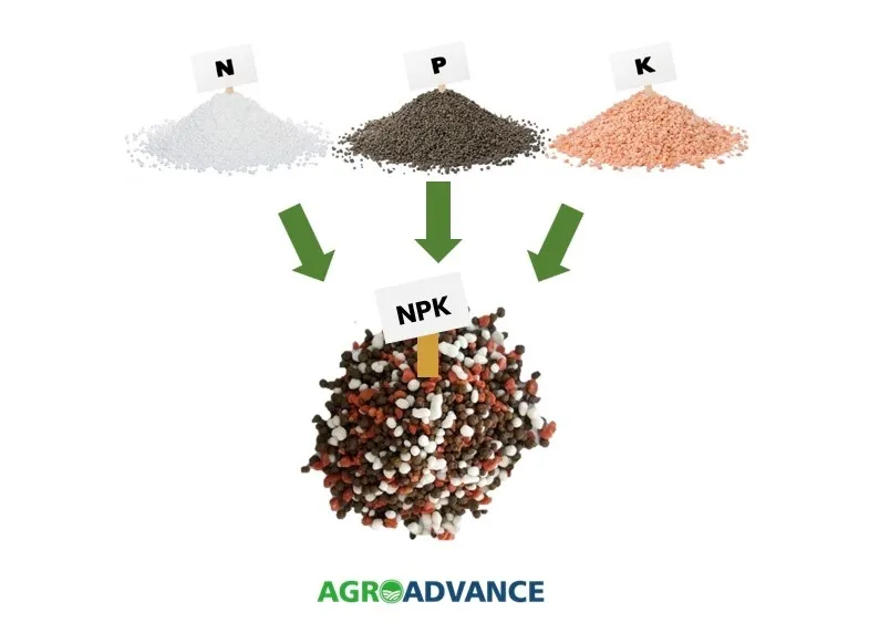 qual a importância do npk na agricultura