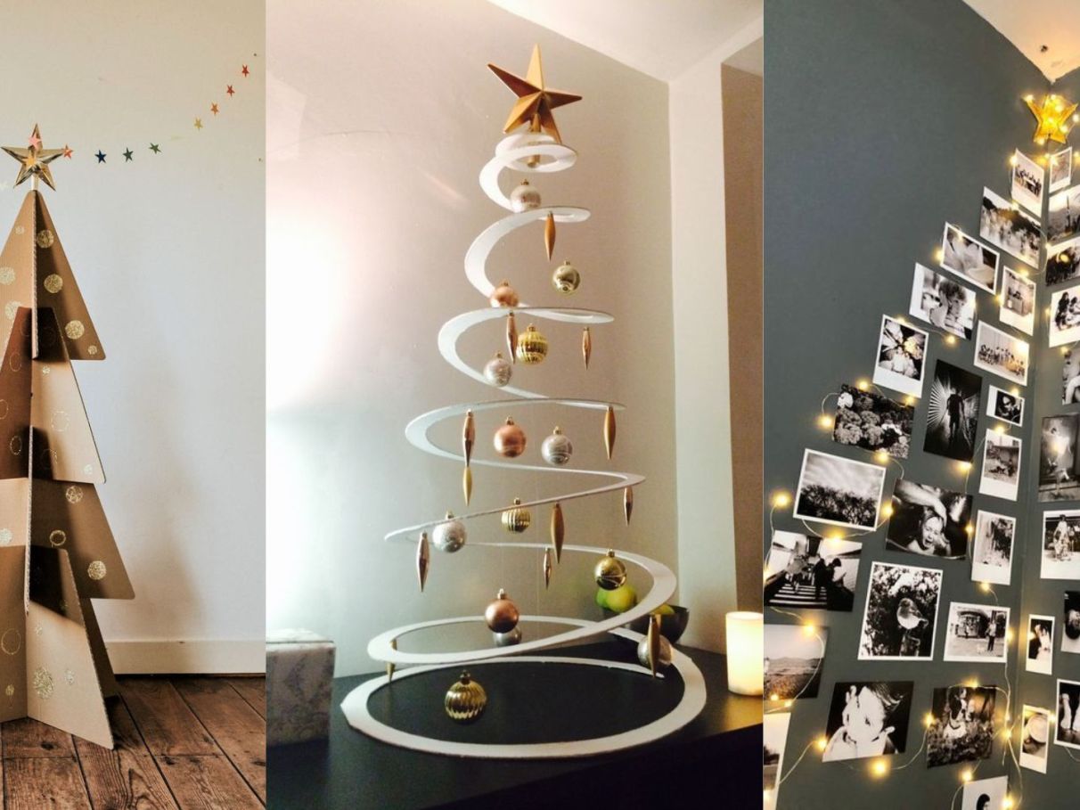 Como Proteger e Manejar Árvores Raras em Sua Propriedade