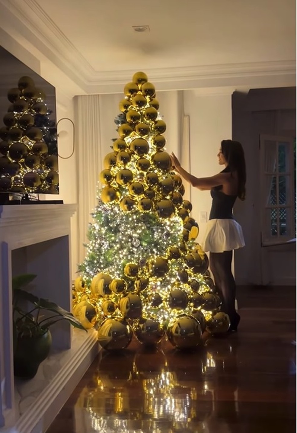 Mata Atlântica: Conheça as 15 Árvores Mais Raras e Como Ajudar na Conservação