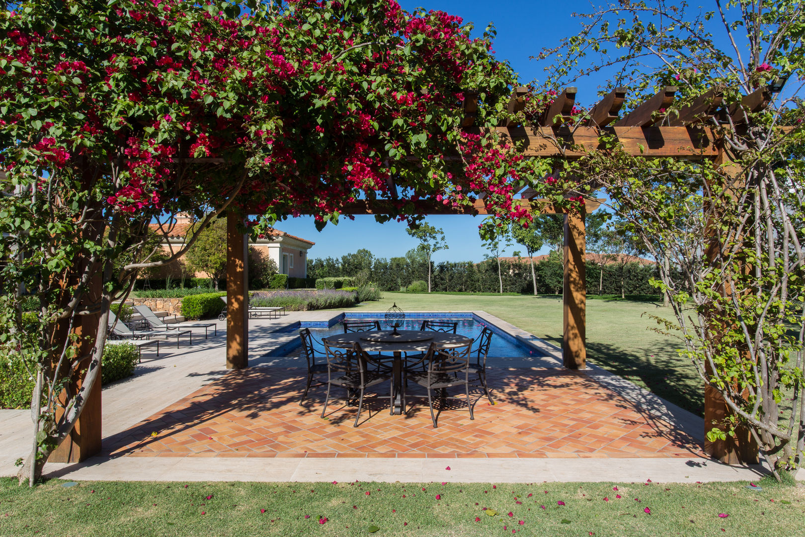 o que plantar na sombra de uma árvore