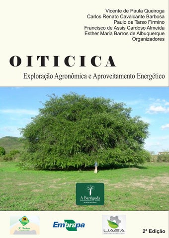 centro cultural helio oiticica