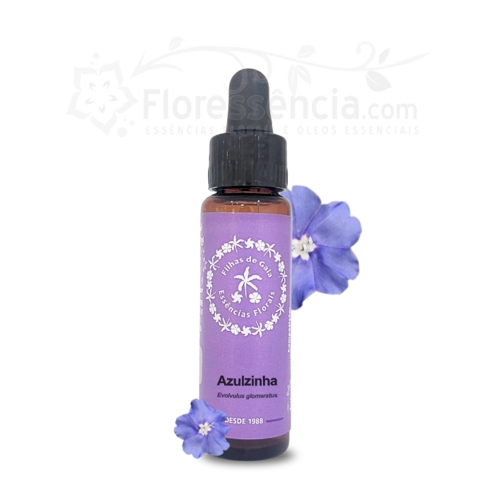 beneficios oleo essencial jacaranda para pele