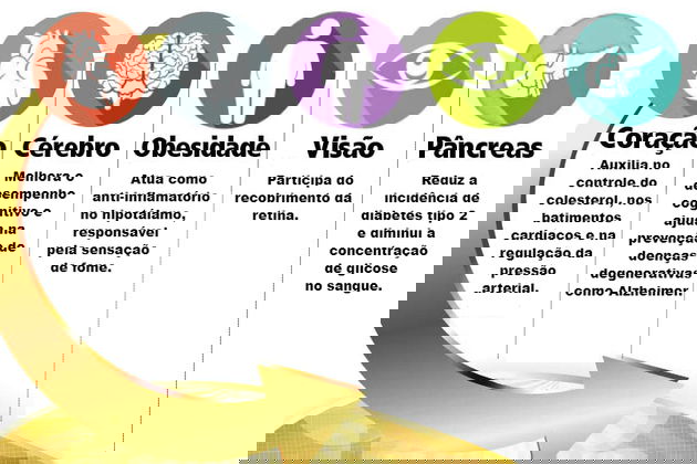 Guia Completo: Fontes Naturais de Ômega 3