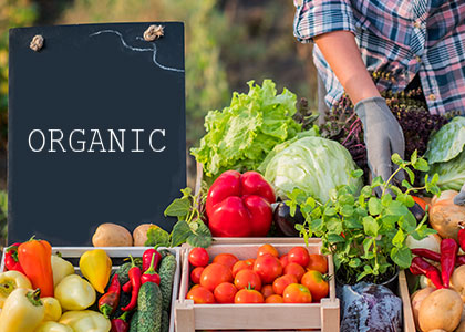 agricultura orgânica