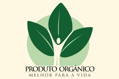 rankeamento no Google