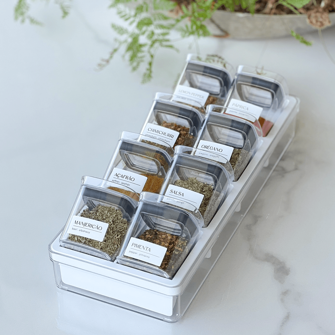 Guia completo de conservação de temperos secos e frescos