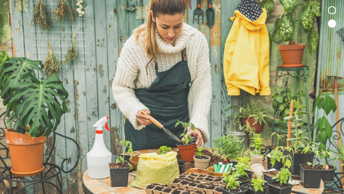 Como a Jardinagem Melhora a Autoestima