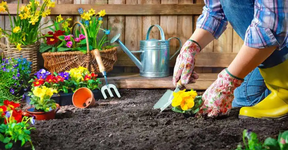 Terapia da Natureza: Benefícios para a Mente