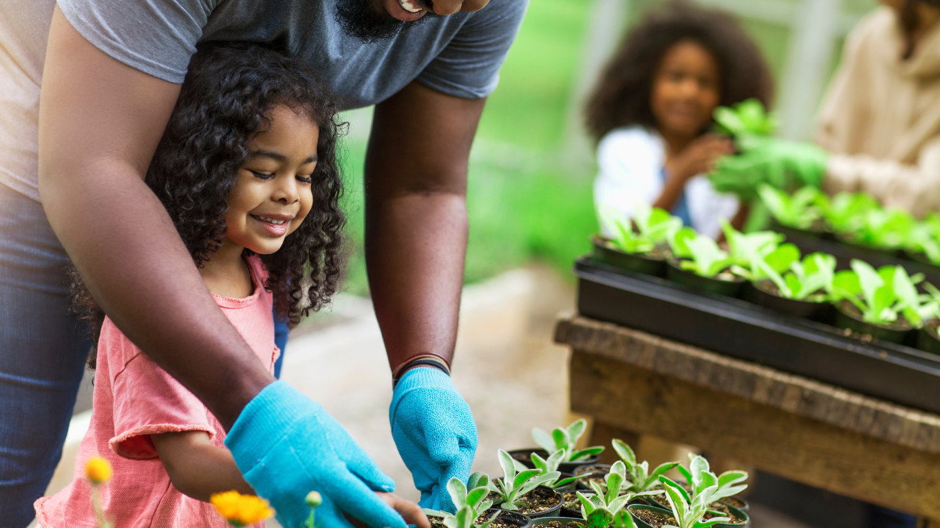 os benefícios da jardinagem para a saúde mental