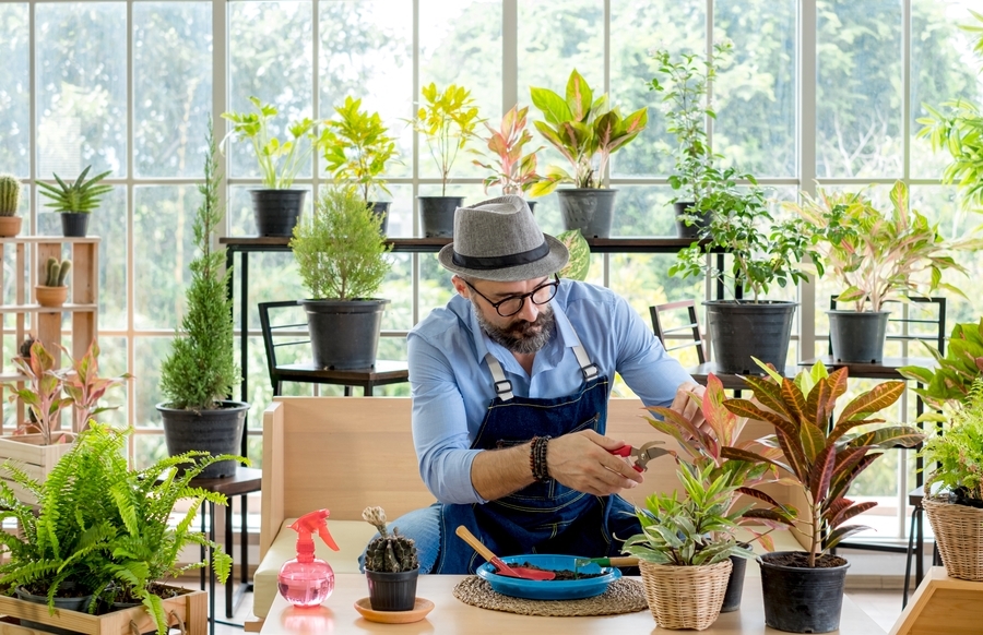 Como a Jardinagem Melhora a Autoestima