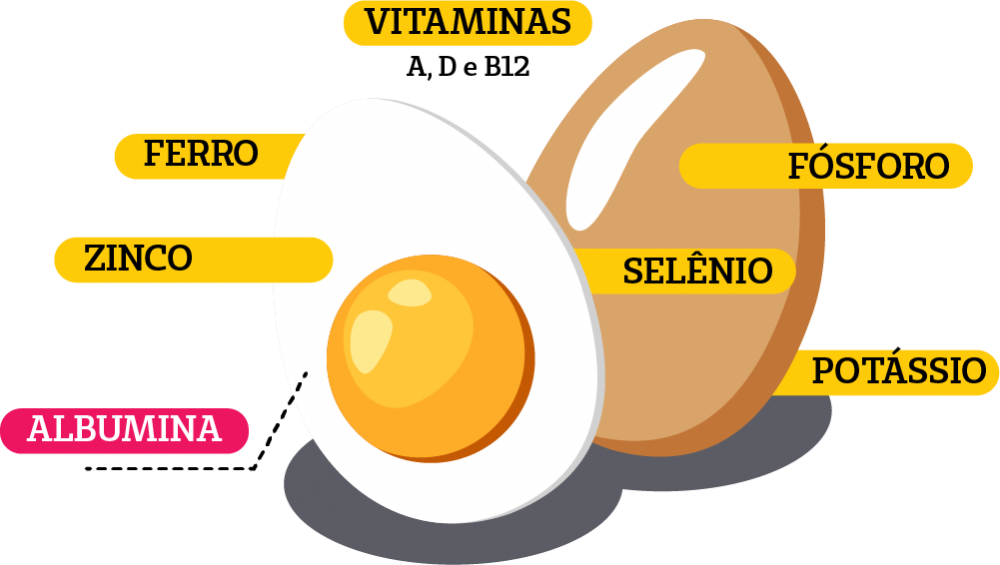 Os 10 Melhores Alimentos Ricos em Vitamina B12 Além do Ovo