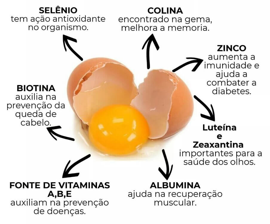 Como Maximizar a Absorção de Vitamina B12 na Sua Dieta