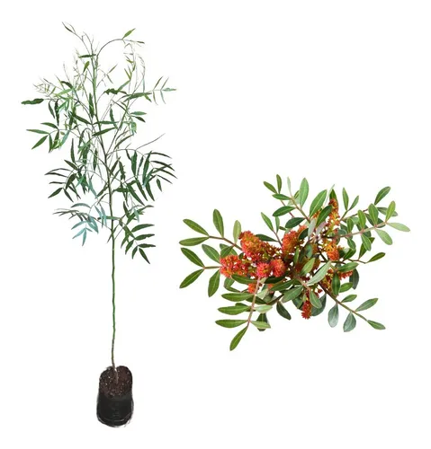 Marcenarias em Brasília: Onde Encontrar Especialistas em Madeira Nobre