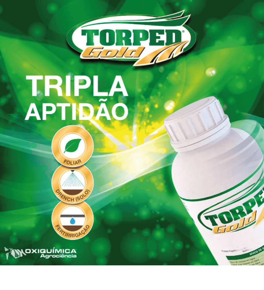 Guia completo do Nescafé Gold: tipos e preparo