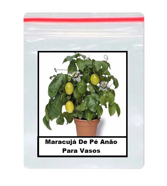 maracujá anão cultivo