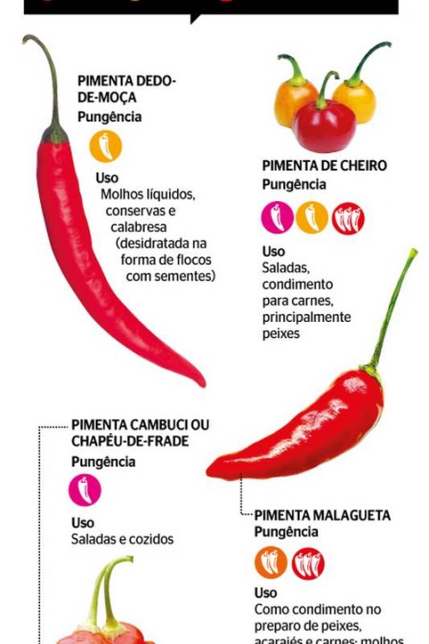 pimenta na comida faz bem