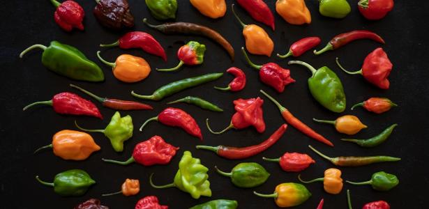 Tipos de Pimenta e seus Sabores