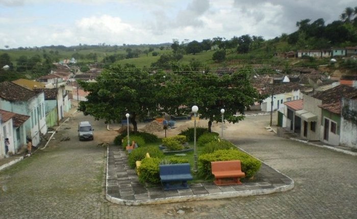 Significado Cultural e Religioso da Pindoba