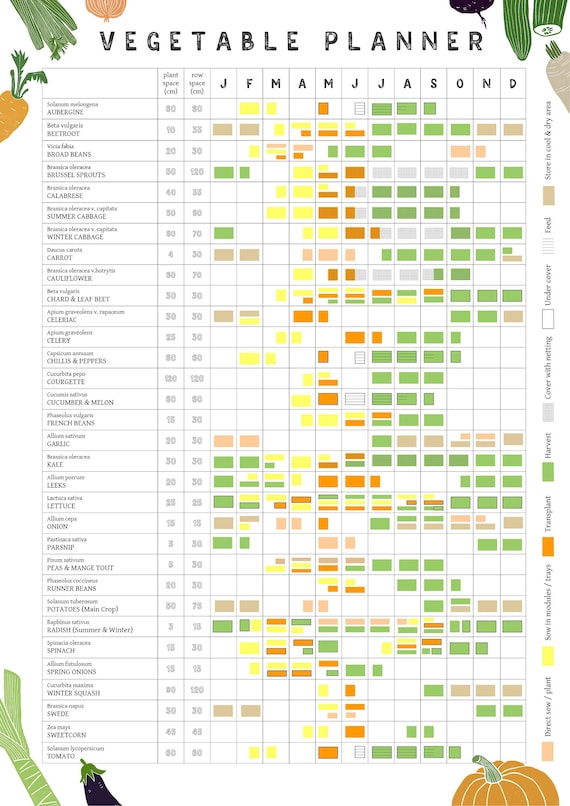 Como montar uma horta vertical em apartamento