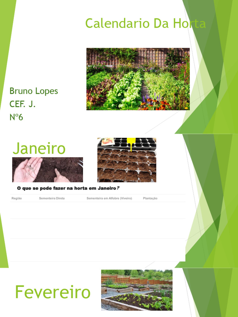 Guia completo de compostagem para sua horta