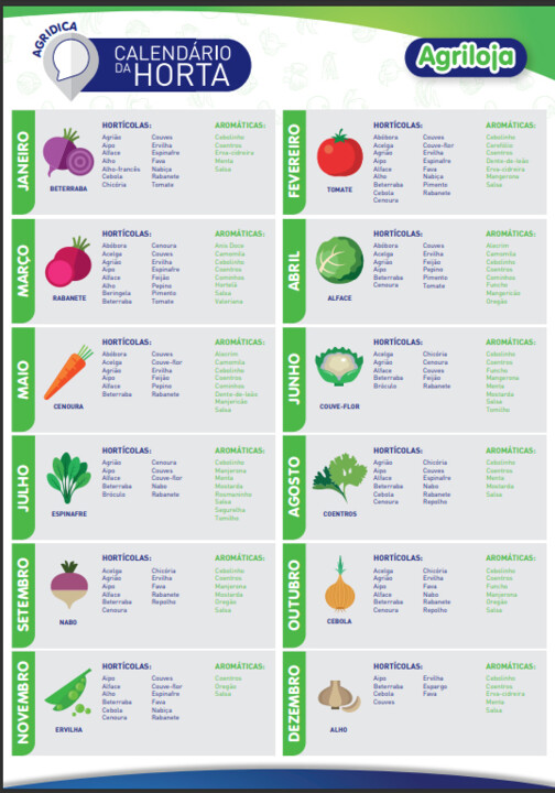 As melhores hortaliças para iniciantes