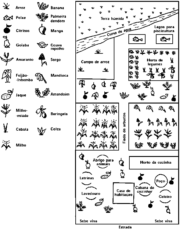 Como combater pragas comuns na horta de forma natural