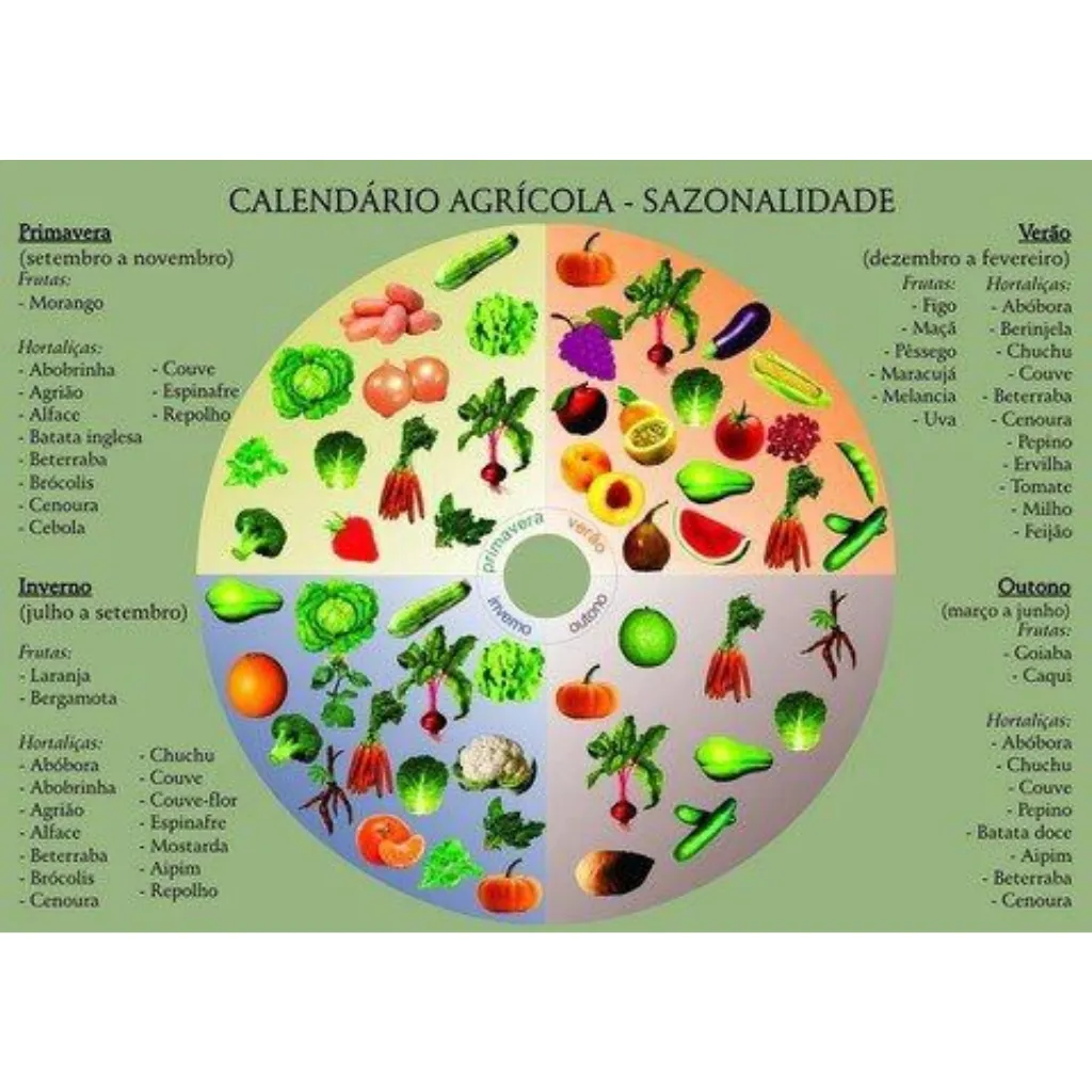 Benefícios de plantar ervas aromáticas em casa