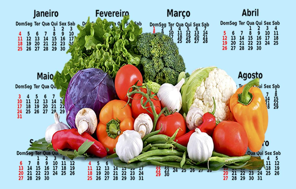 planejamento anual da horta