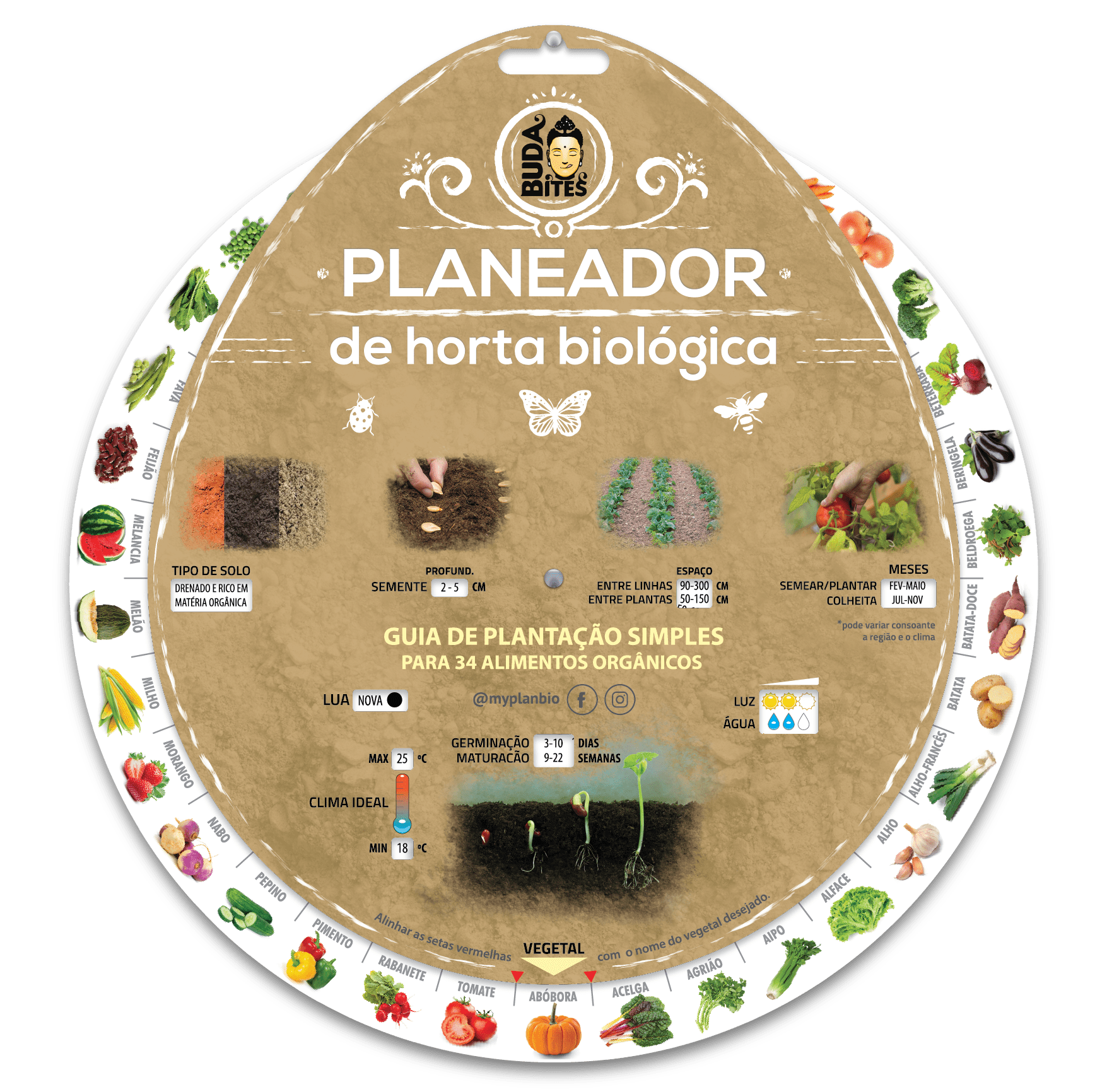 Como montar uma horta vertical em apartamento