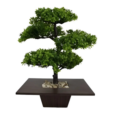 plantas japonesas para jardim pequeno