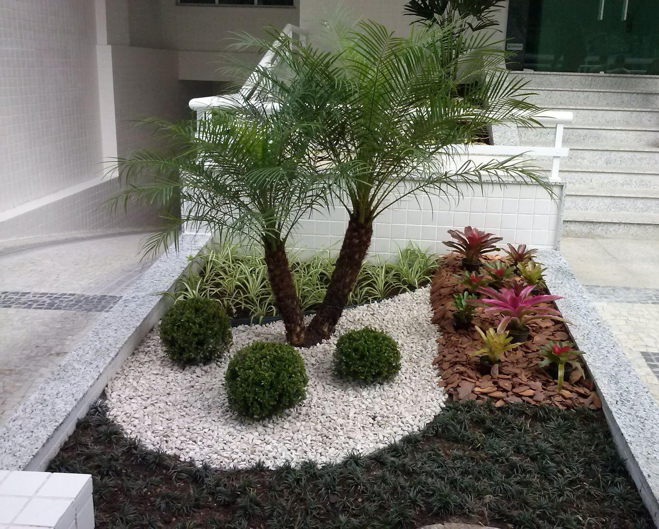 plantas para vasos sol pleno