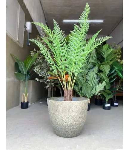 plantas resistentes sol forte